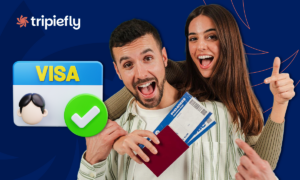 Visa application app: apply for your visa online here