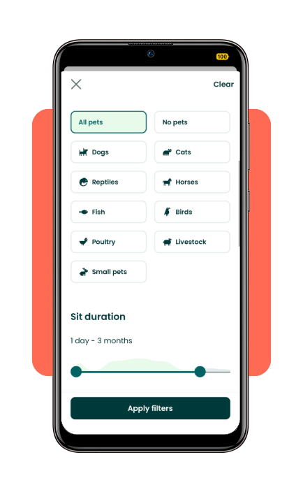 Video call interview with pet sitter through app