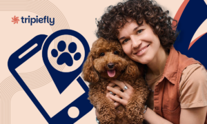 Pet sitting for travelers: find the perfect one with this app