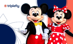 Cheap flights to Disney: unsold seats up to 60% OFF