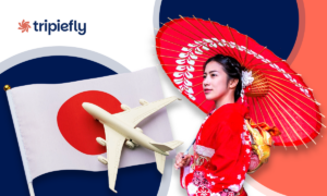 Japan on a Budget: real costs and how to plan your trip