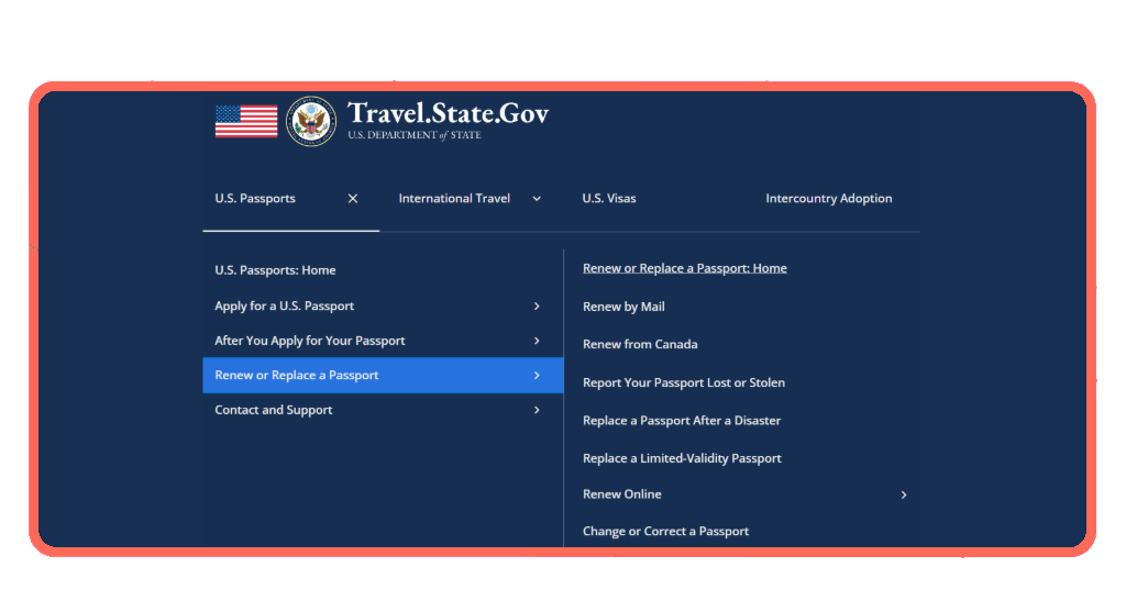 Step 2 - Renew passport through the official portal